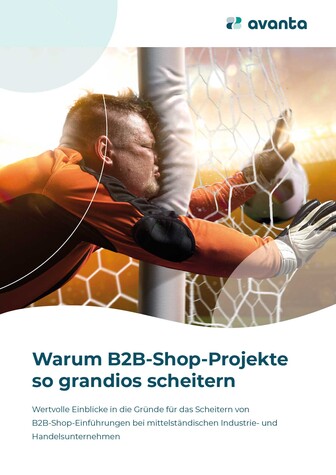 Warum B2B-Shop-Projekte scheitern – Whitepaper zum Download
