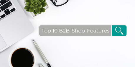 Top 10 B2B-Shop-Features