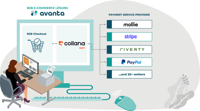 Schaubild Integration collana_pay