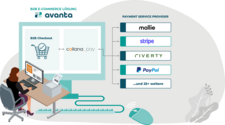 Schaubild Integration collana_pay in avanta