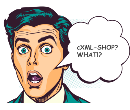 Ihr Kunde fordert einen cXML-Shop?