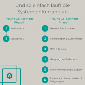 Ablauf Systemeinführung