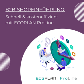 B2B-Shopeinführung: schnell &amp; kosteneffizient
