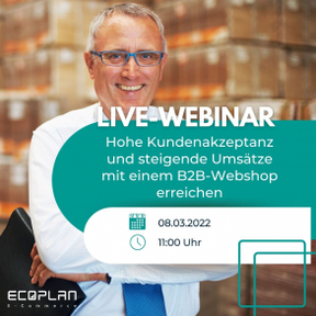 B2B-Webinar