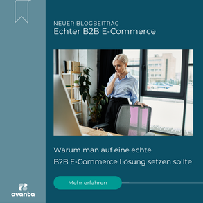 Blogbeitrag: Warum man auf eine echte B2B E-Commerce Lösung setzen sollte