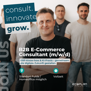Stellenanzeige B2B E-Commerce Consultant