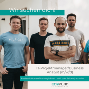 IT-Projektmanager