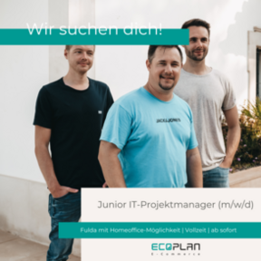 Junior IT-Projektmanager