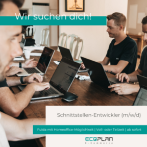 Stellenanzeige Schnittstellen-Entwickler