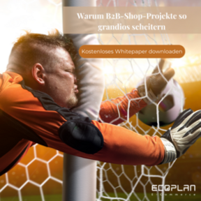 Whitepaper "Warum B2B-Shop-Projekte so grandios scheitern"