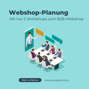 Webshop-Planung mit 2 Workshops